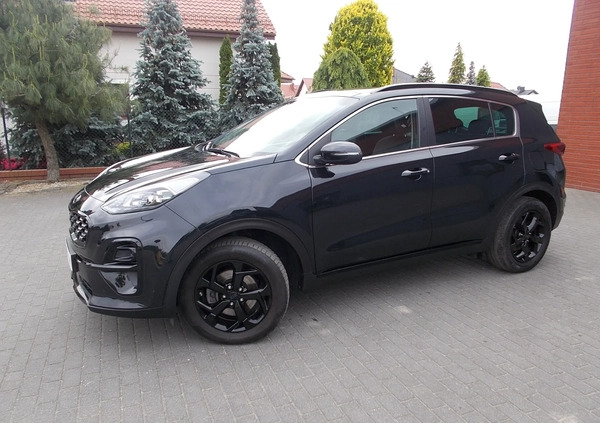 Kia Sportage cena 89000 przebieg: 38000, rok produkcji 2021 z Leszno małe 742